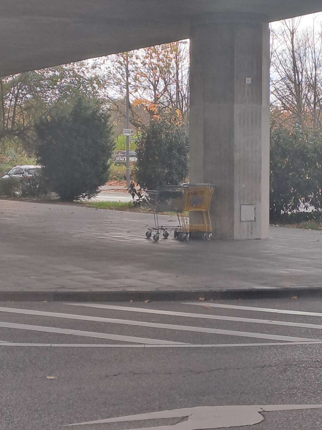 Bild zu gemeldetem Anliegen vom *2025-11-03 14:46:49