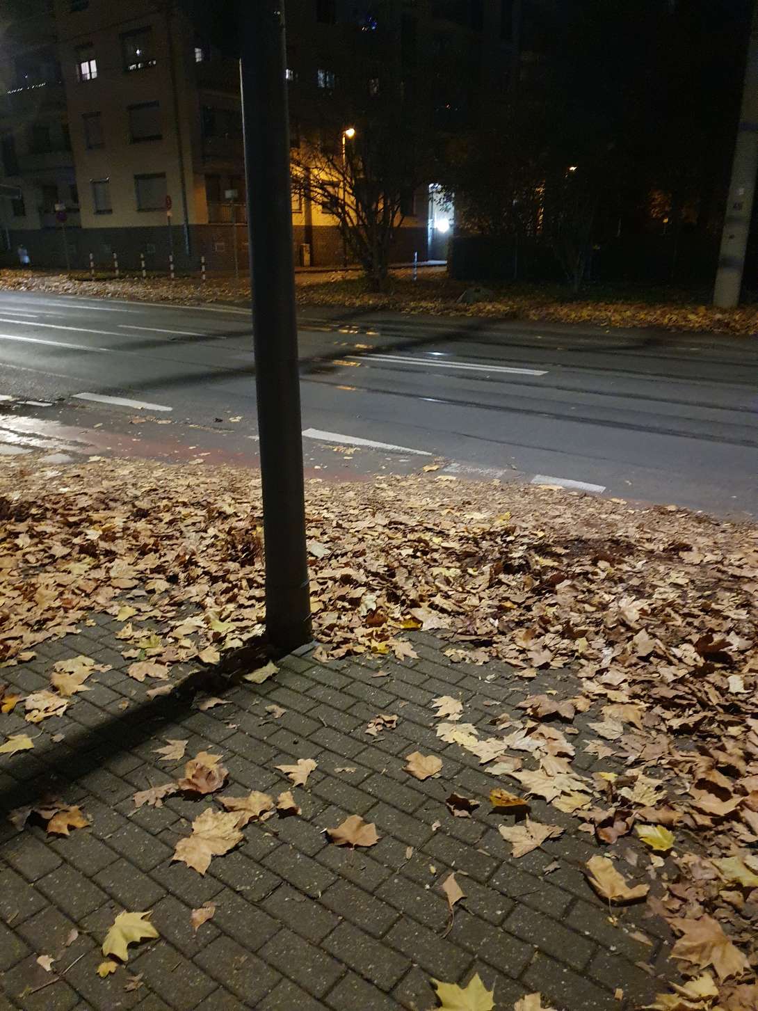 Bild zu gemeldetem Anliegen vom *2025-11-05 18:35:33