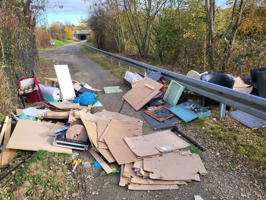 Bild zu gemeldetem Anliegen vom *2025-11-10 09:04:18