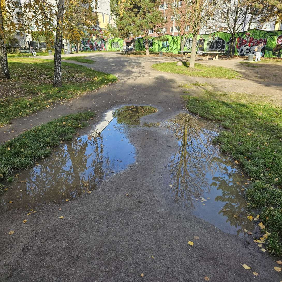 Bild zu gemeldetem Anliegen vom *2025-11-11 12:09:21