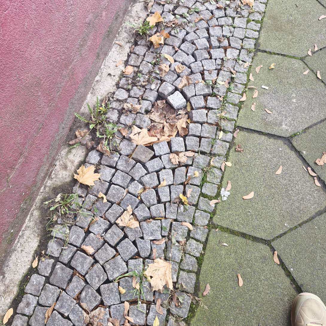 Bild zu gemeldetem Anliegen vom *2025-11-12 14:46:04