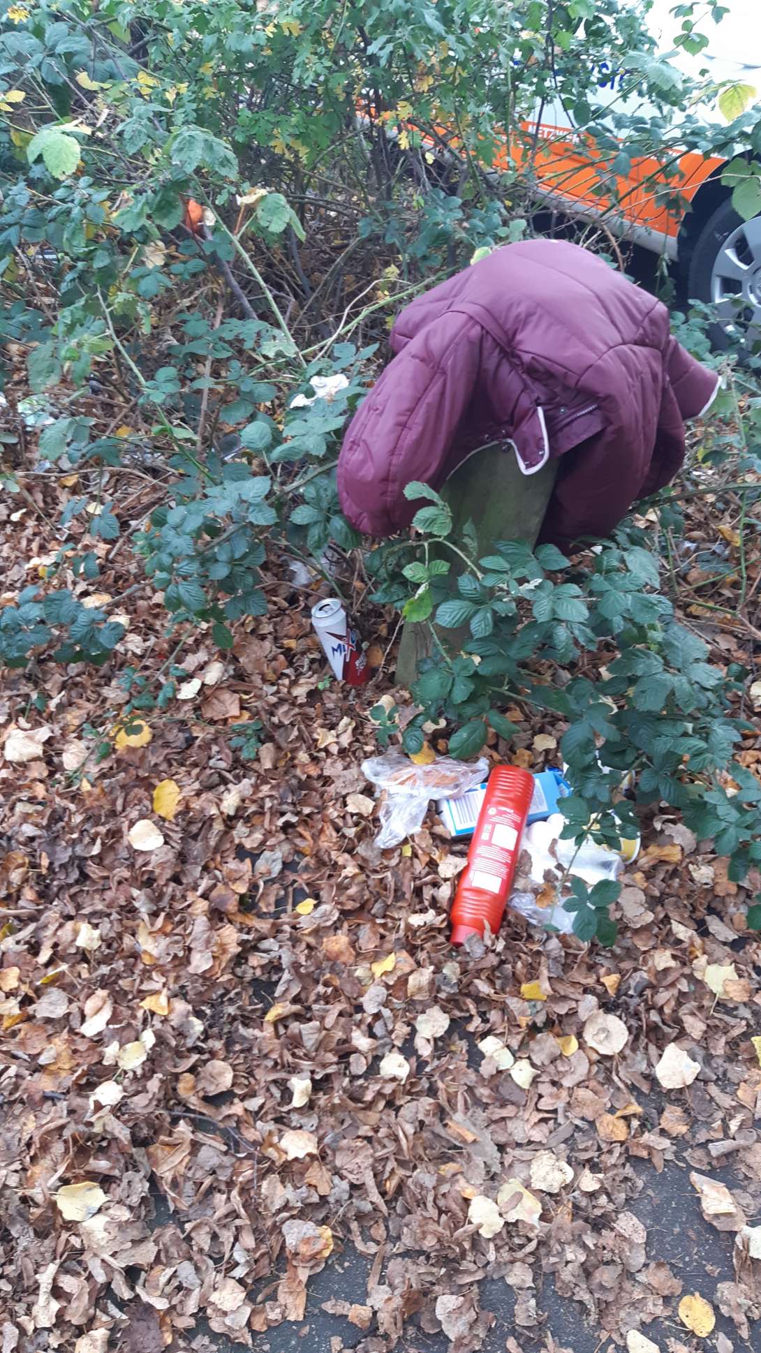 Bild zu gemeldetem Anliegen vom *2025-11-17 13:06:10