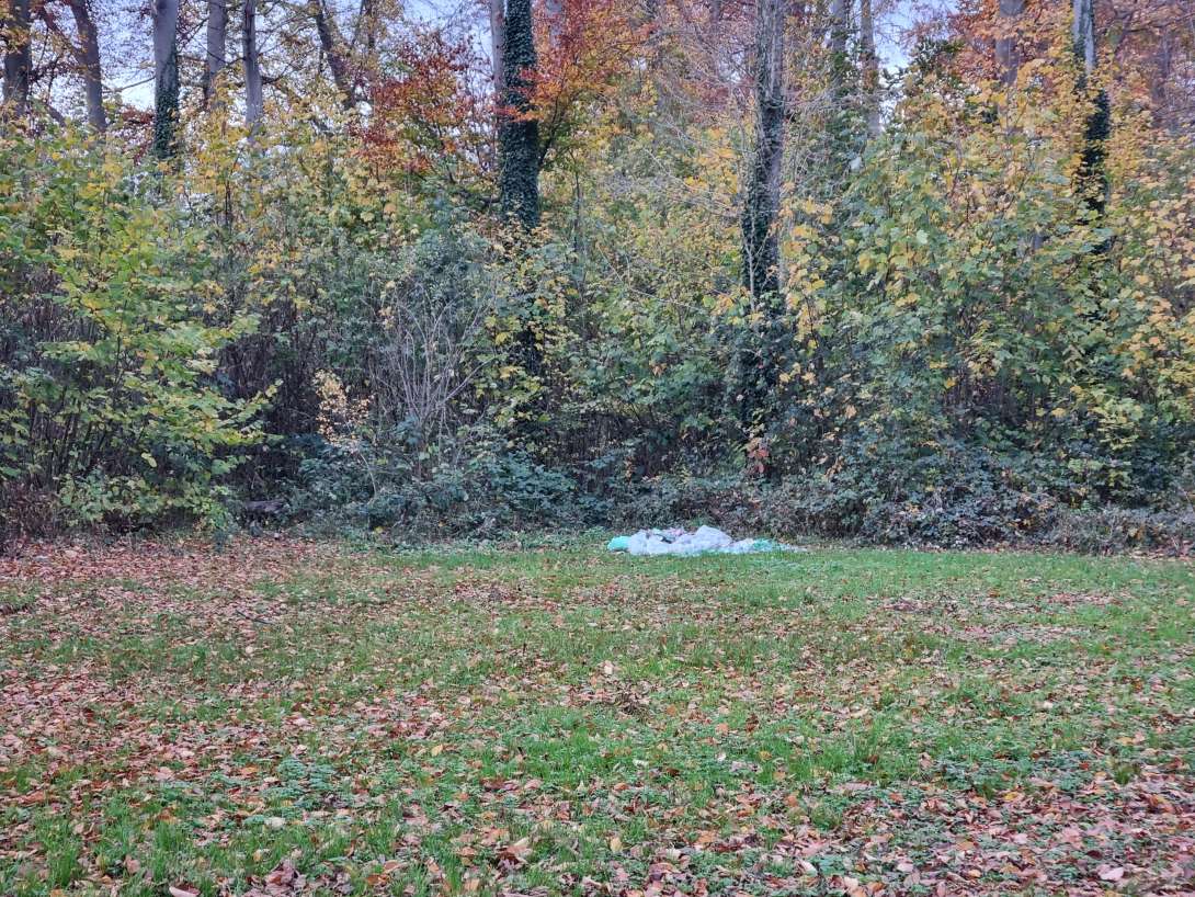 Bild zu gemeldetem Anliegen vom *2025-11-14 09:58:08