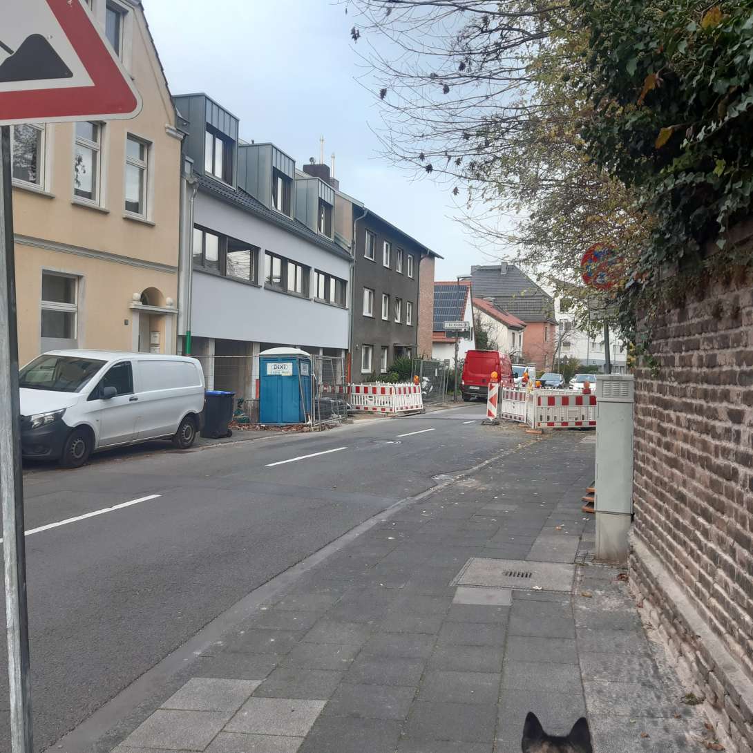 Bild zu gemeldetem Anliegen vom *2025-11-14 10:36:04