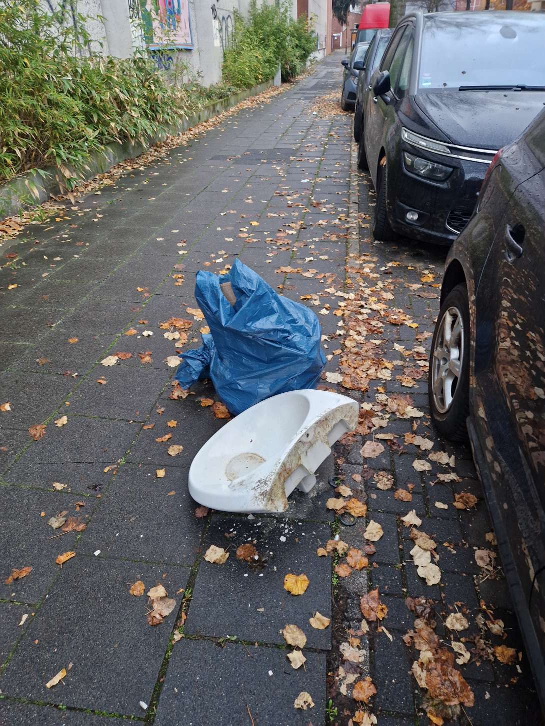 Bild zu gemeldetem Anliegen vom *2025-11-17 11:12:54