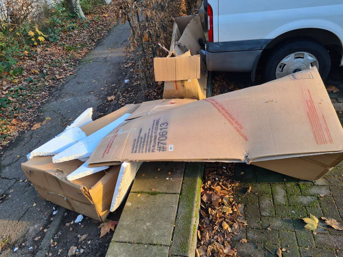 Bild zu gemeldetem Anliegen vom *2025-11-22 09:17:15