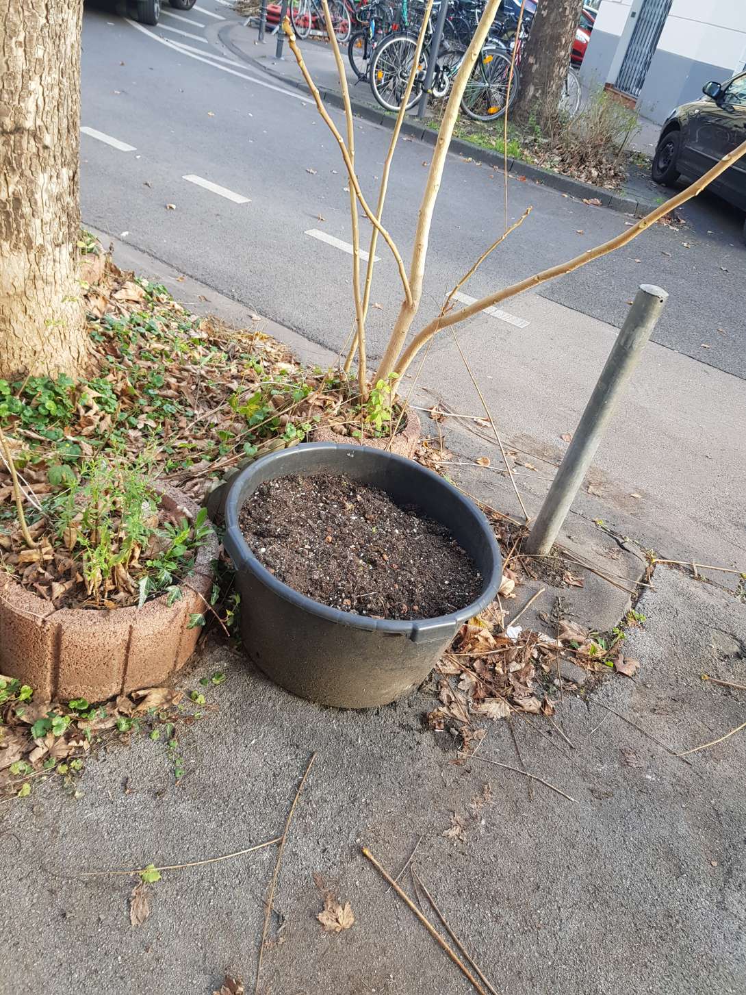 Bild zu gemeldetem Anliegen vom *2025-11-24 12:37:28