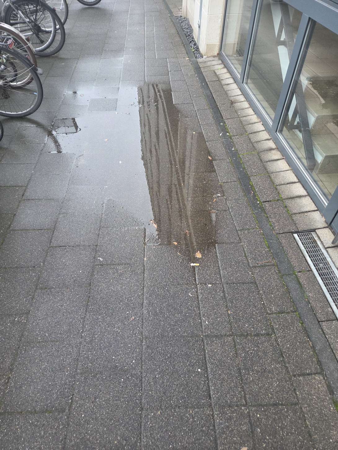 Bild zu gemeldetem Anliegen vom *2025-11-28 12:29:45