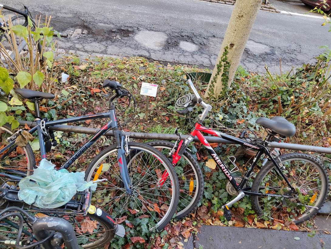 Bild zu gemeldetem Anliegen vom *2025-11-26 12:28:04