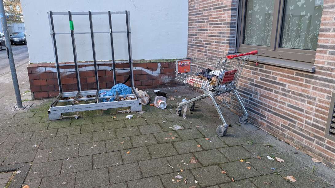 Bild zu gemeldetem Anliegen vom *2025-11-21 12:29:19