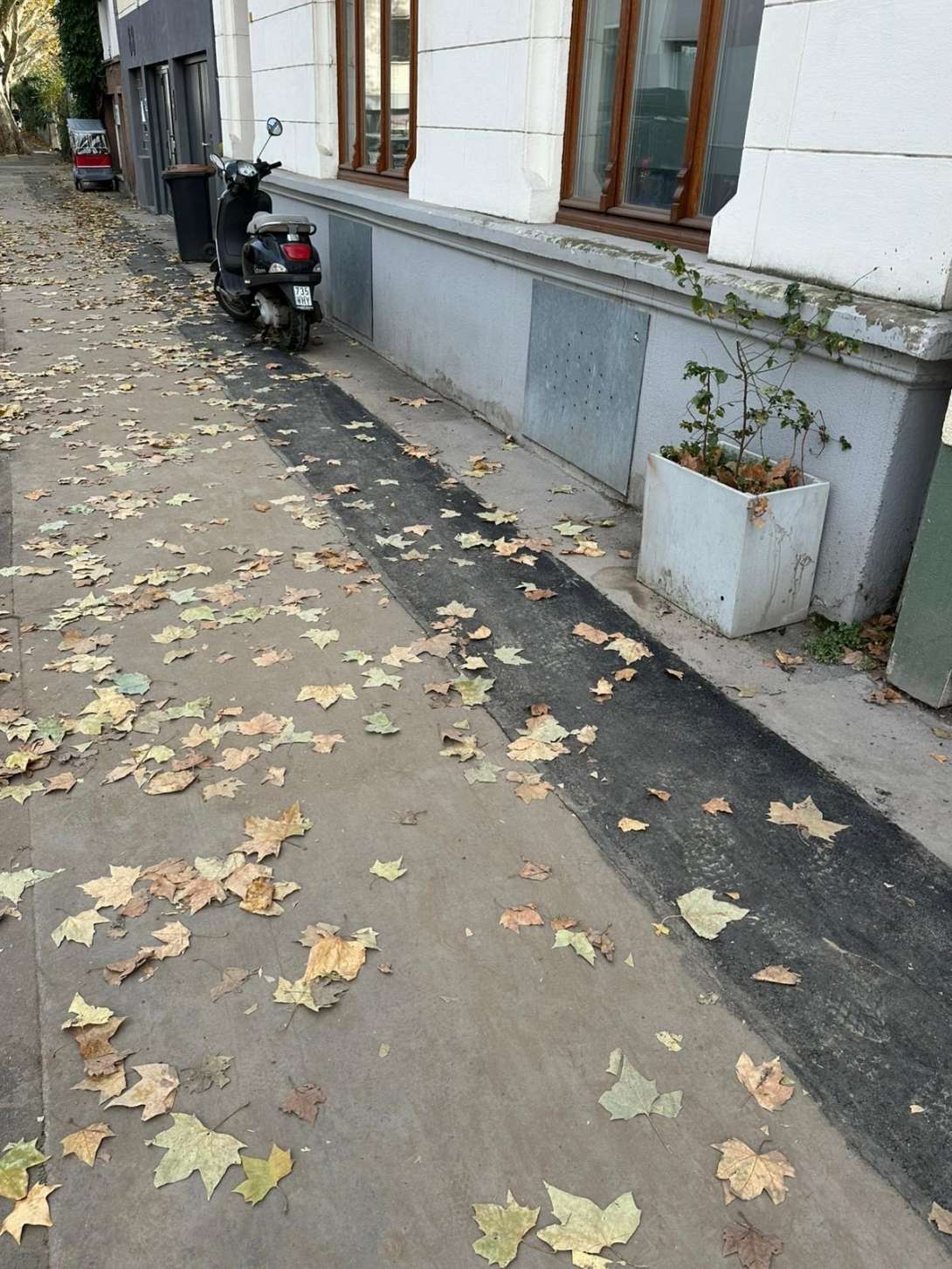 Bild zu gemeldetem Anliegen vom *2025-11-10 06:22:25