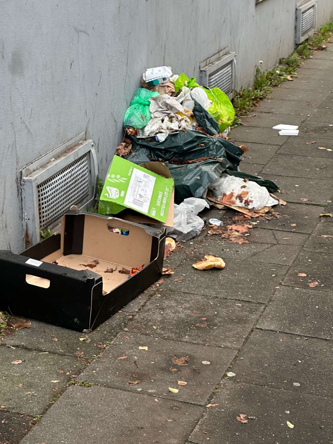 Bild zu gemeldetem Anliegen vom *2025-11-17 17:01:41