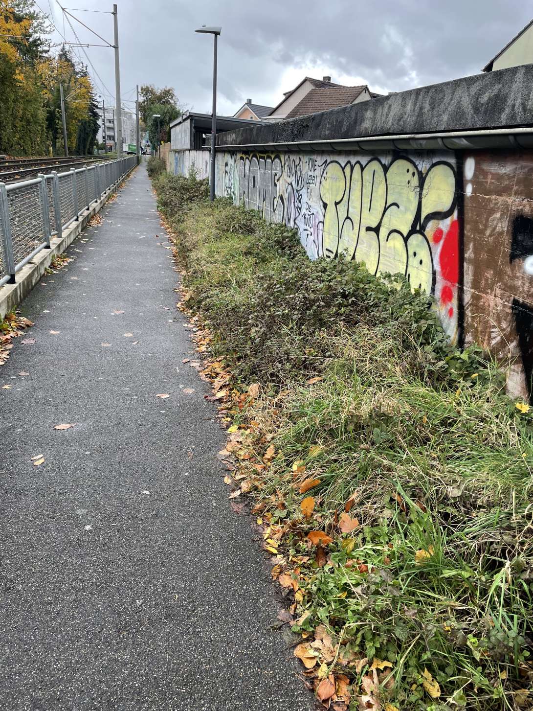 Bild zu gemeldetem Anliegen vom *2025-11-24 08:53:42