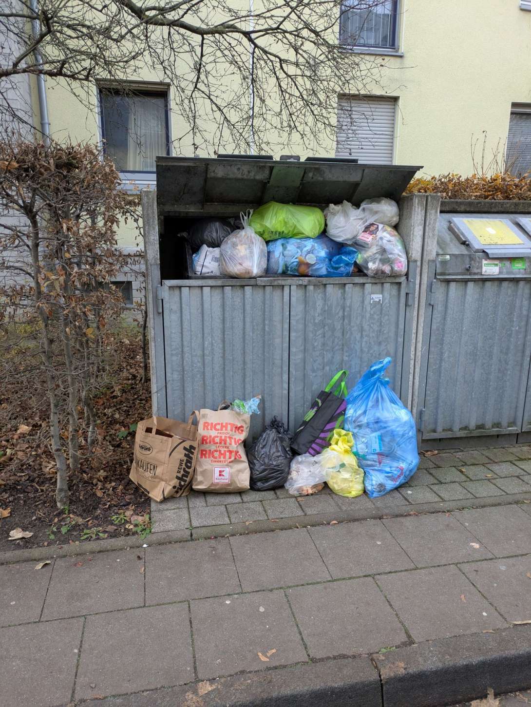 Bild zu gemeldetem Anliegen vom *2025-11-24 13:55:22