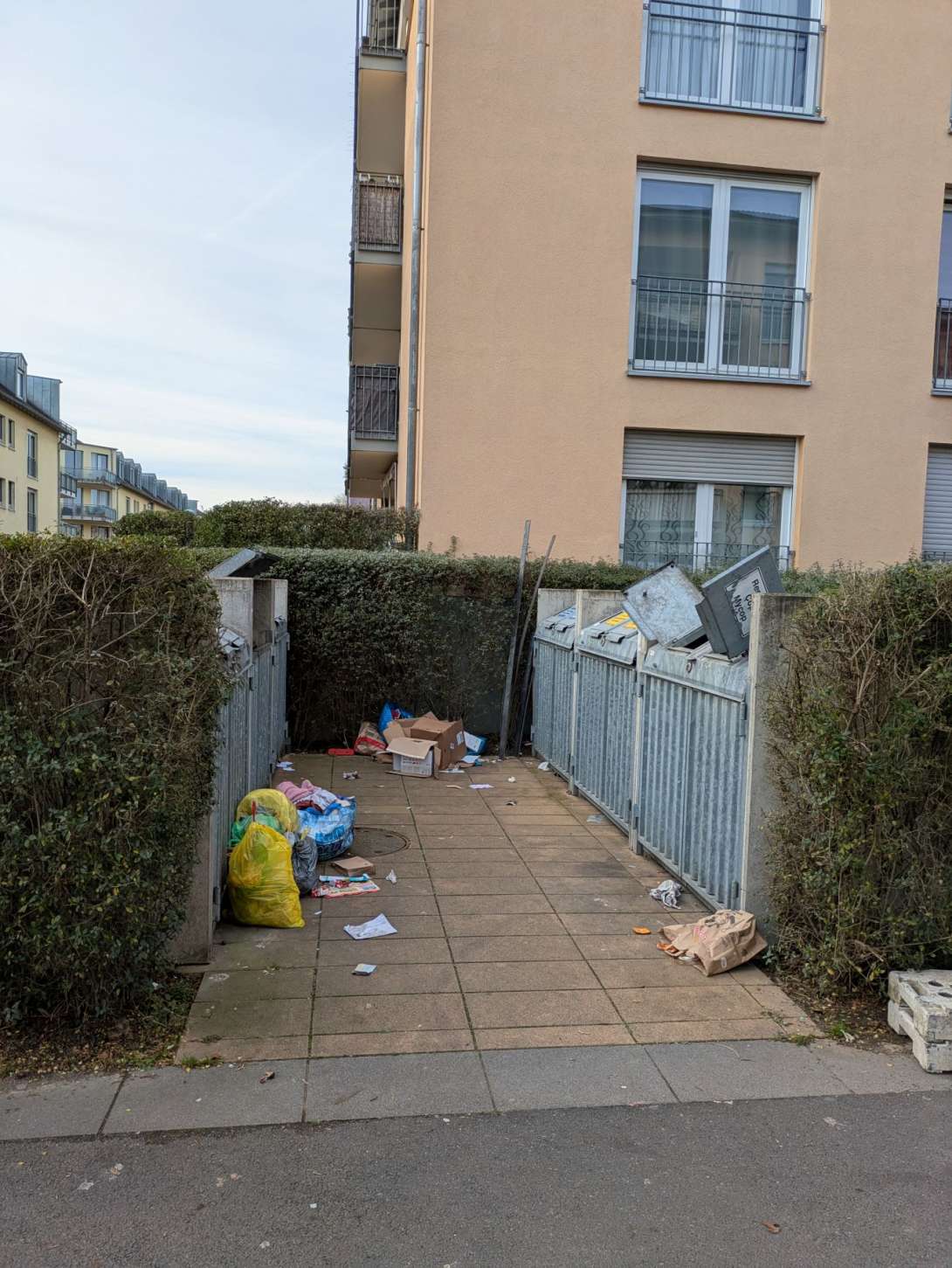 Bild zu gemeldetem Anliegen vom *2025-11-24 13:50:50