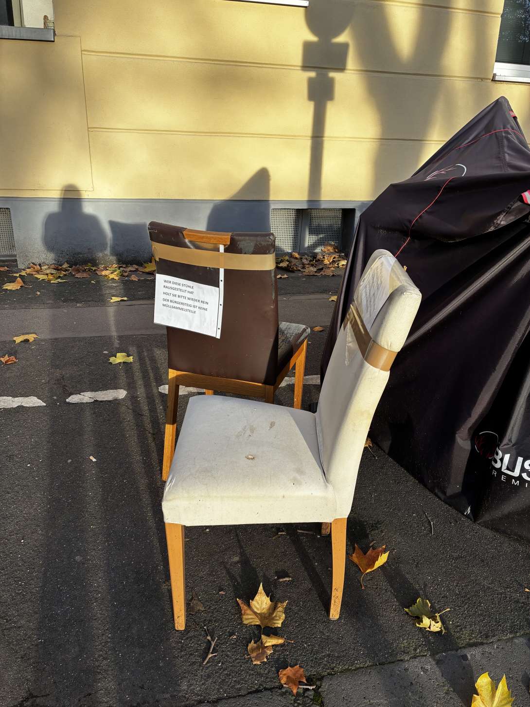 Bild zu gemeldetem Anliegen vom *2025-11-05 11:39:36