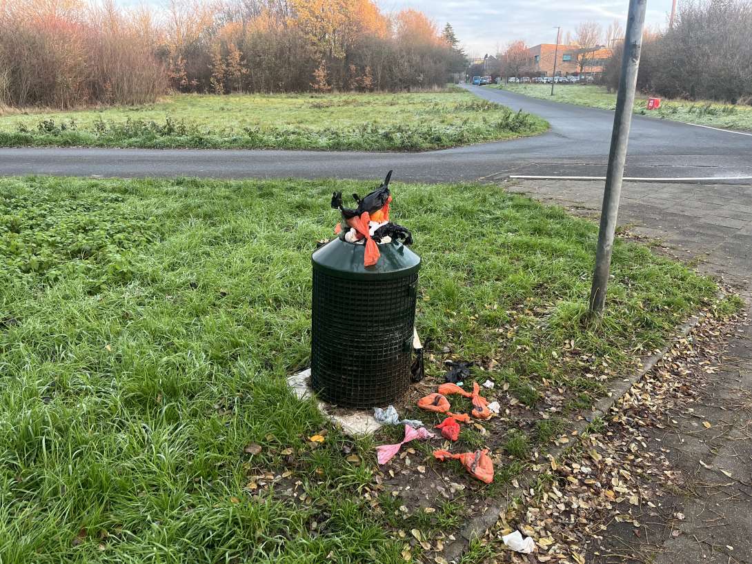 Bild zu gemeldetem Anliegen vom *2025-11-27 10:23:12