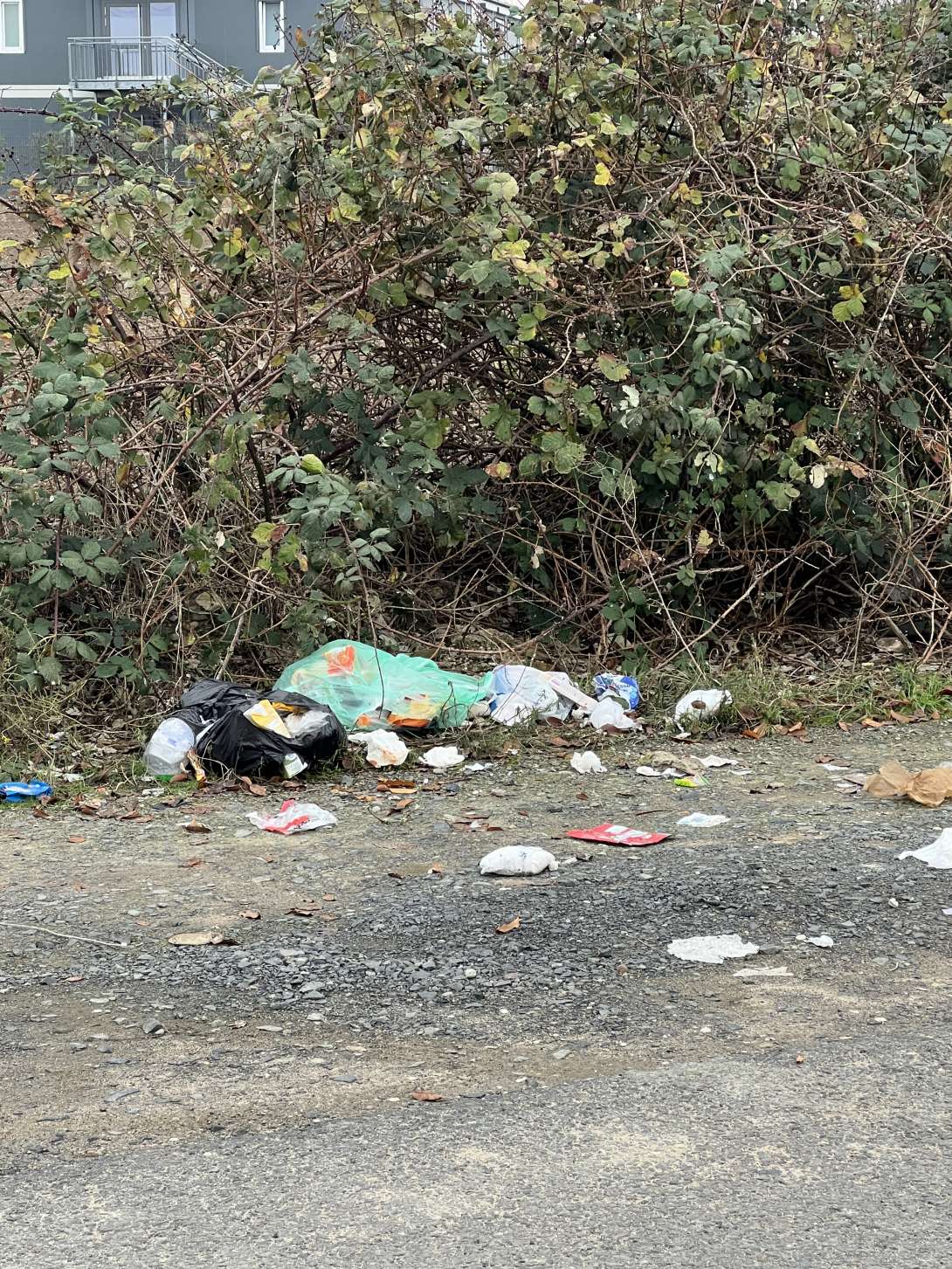 Bild zu gemeldetem Anliegen vom *2025-11-26 14:55:30