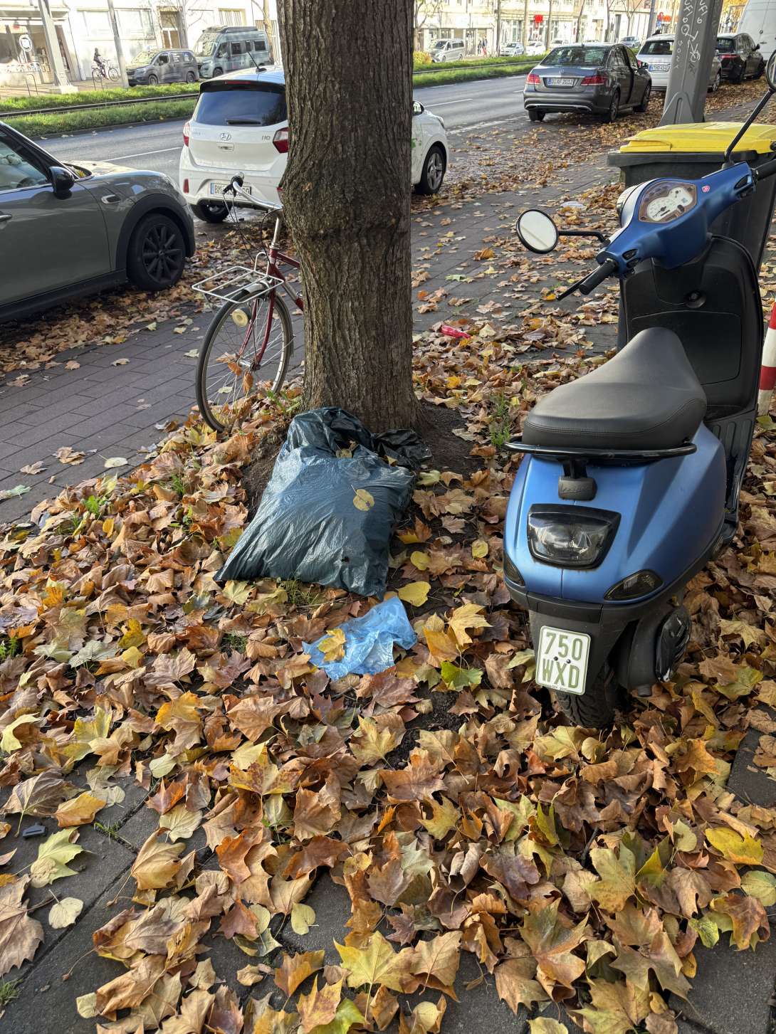 Bild zu gemeldetem Anliegen vom *2025-11-03 11:28:49