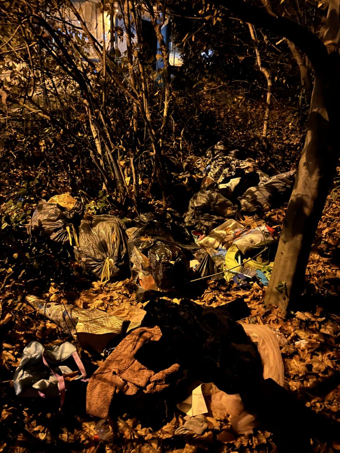 Bild zu gemeldetem Anliegen vom *2025-11-27 08:44:19