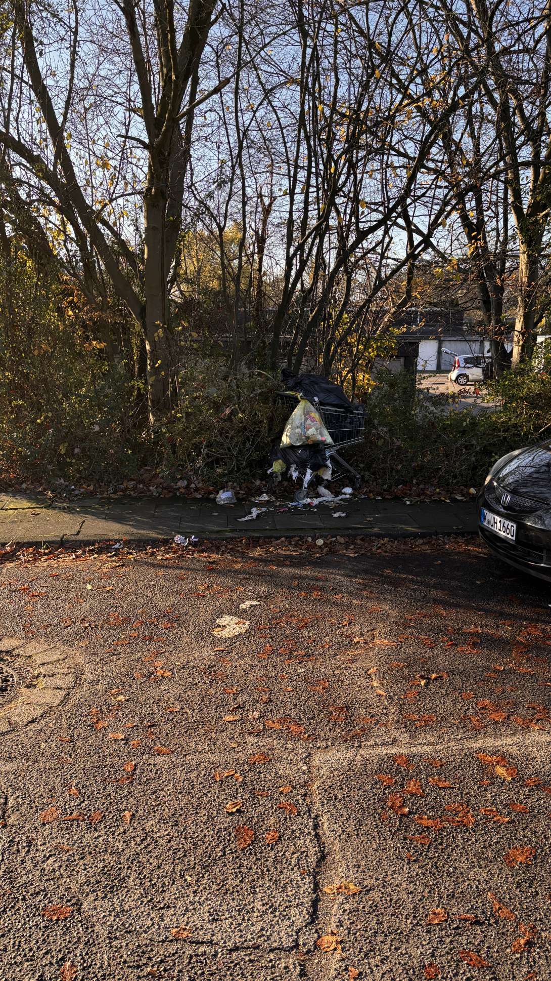 Bild zu gemeldetem Anliegen vom *2025-11-21 12:29:19