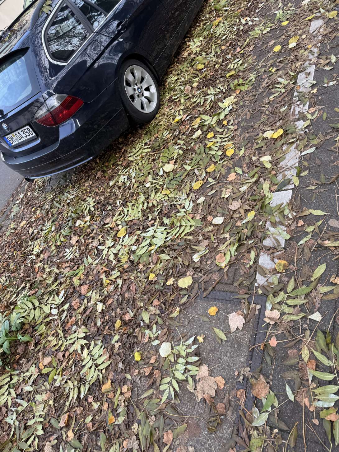 Bild zu gemeldetem Anliegen vom *2025-11-13 12:20:08