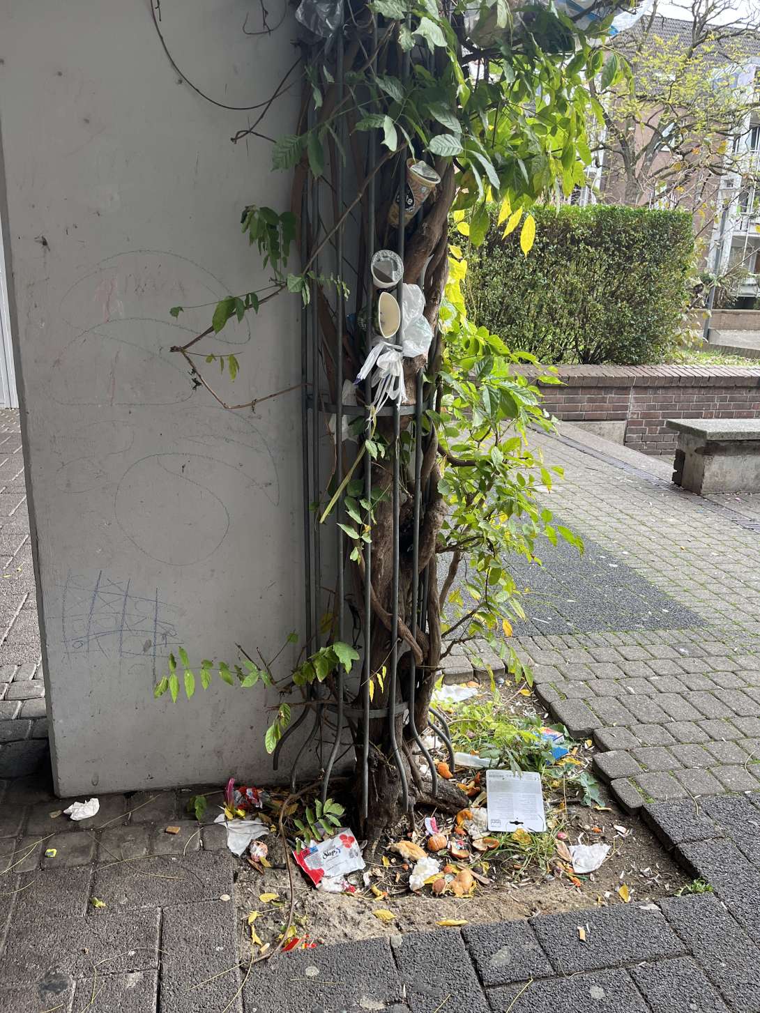 Bild zu gemeldetem Anliegen vom *2025-11-17 11:10:34