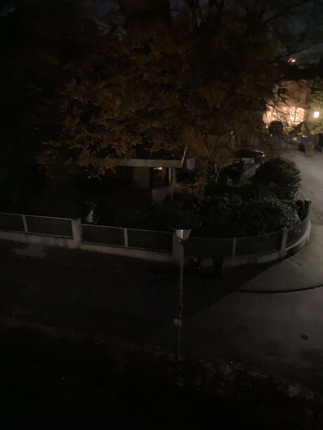 Bild zu gemeldetem Anliegen vom *2025-11-05 19:27:29