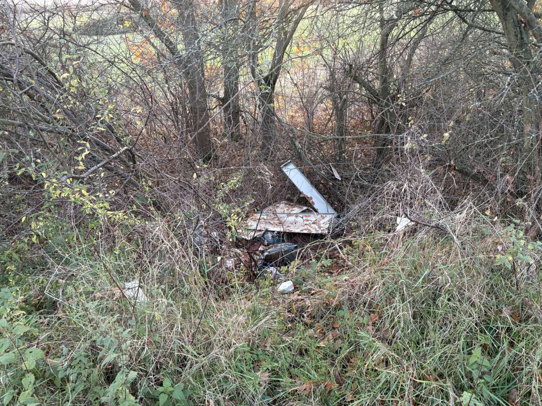 Bild zu gemeldetem Anliegen vom *2025-11-19 09:47:30