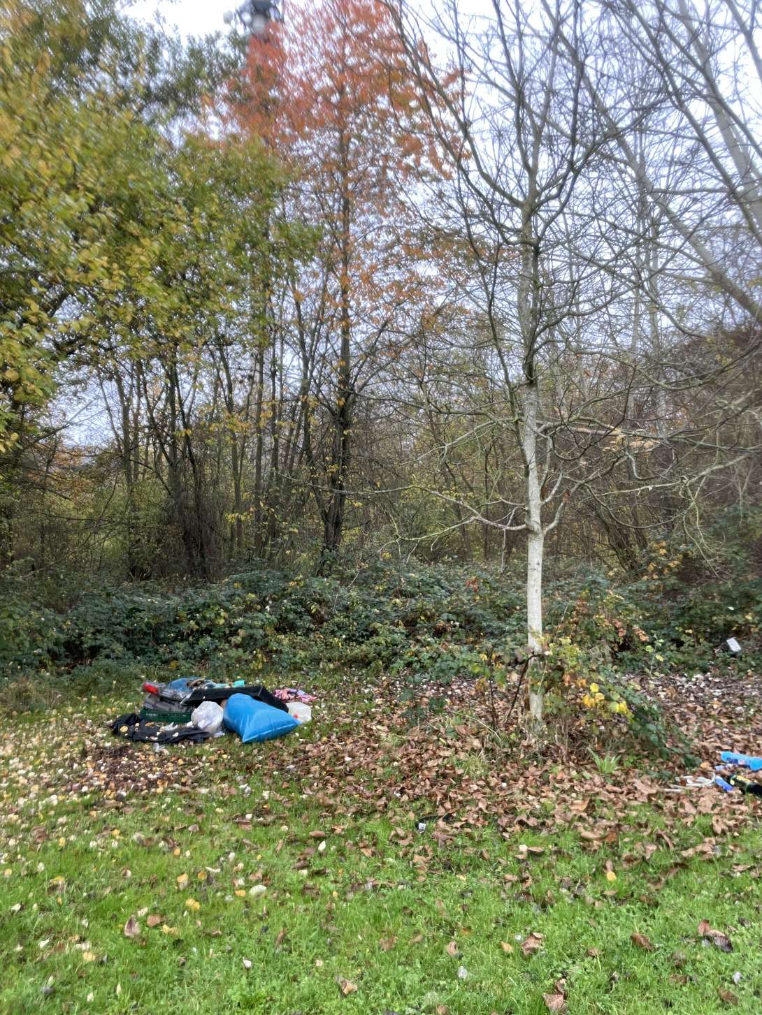 Bild zu gemeldetem Anliegen vom *2025-11-15 06:30:01