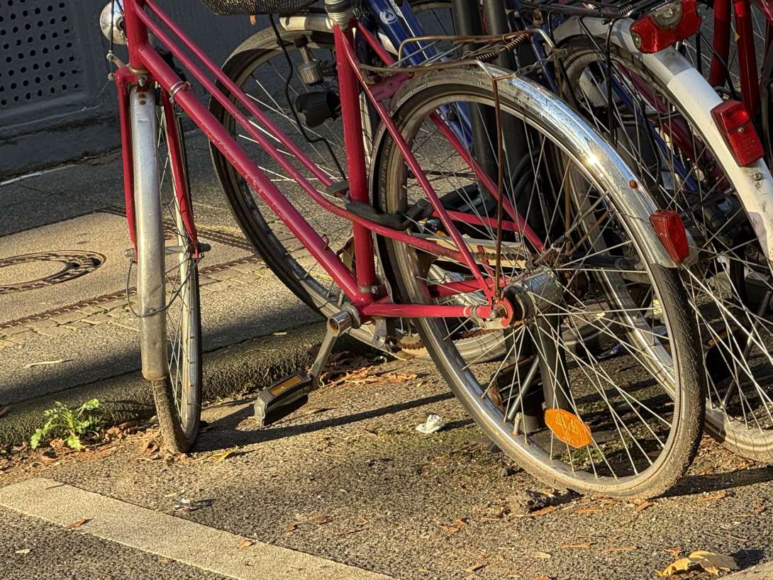 Bild zu gemeldetem Anliegen vom *2025-11-10 09:35:57