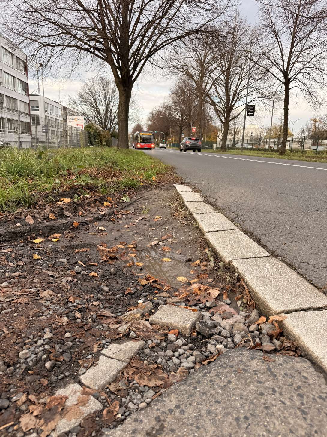 Bild zu gemeldetem Anliegen vom *2025-11-13 15:51:29