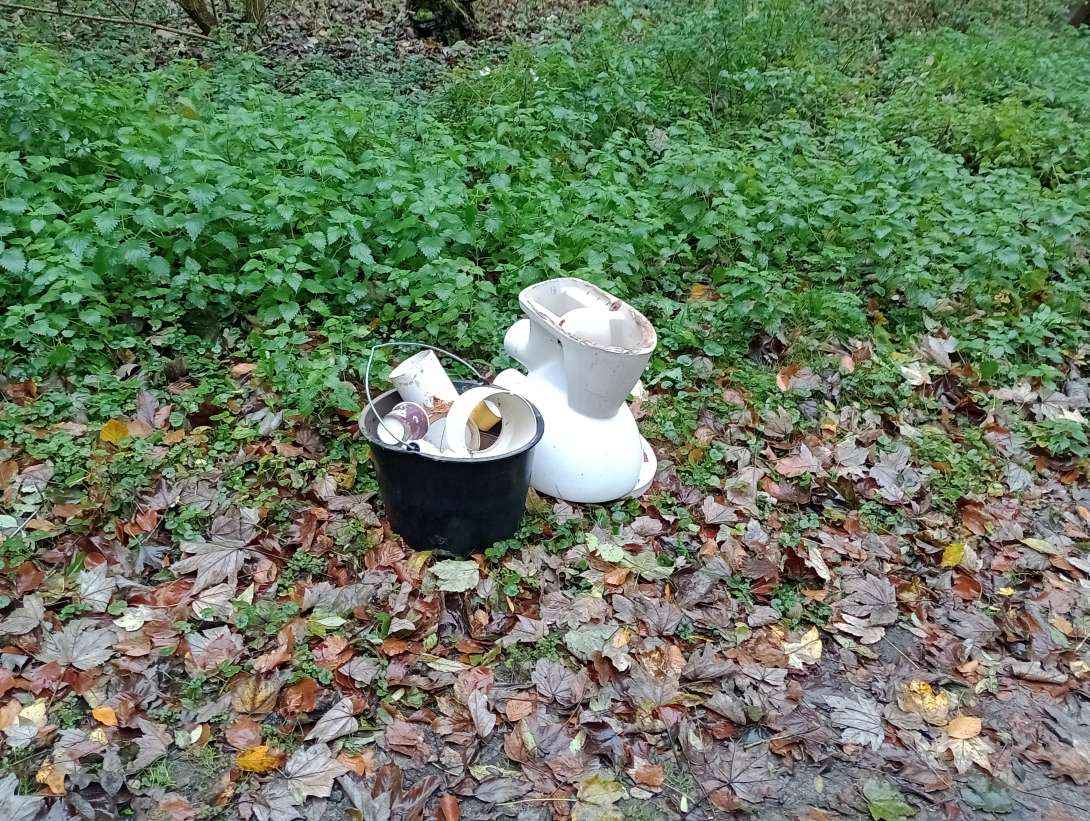 Bild zu gemeldetem Anliegen vom *2025-11-03 12:43:15