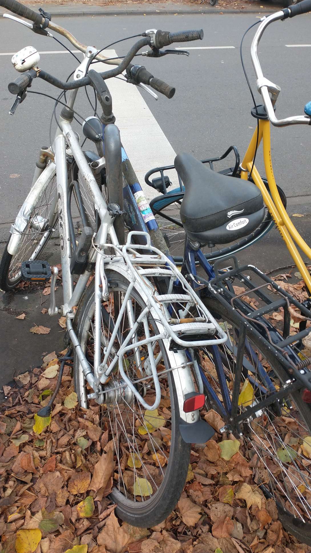 Bild zu gemeldetem Anliegen vom *2025-11-13 16:34:35