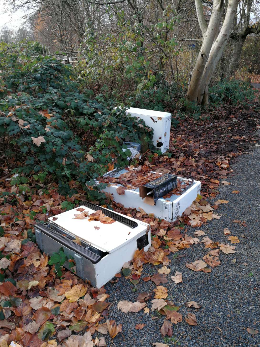 Bild zu gemeldetem Anliegen vom *2025-11-27 08:34:44