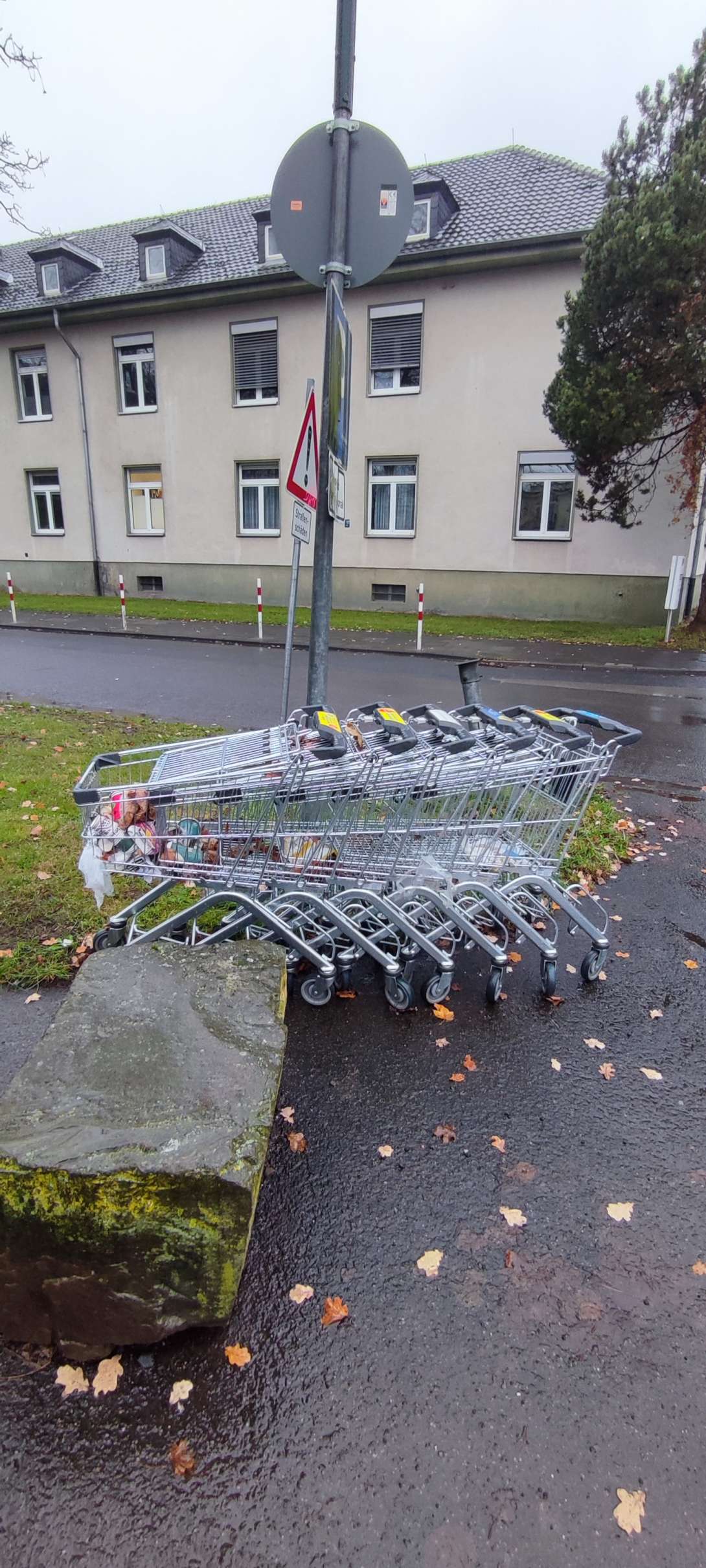 Bild zu gemeldetem Anliegen vom *2025-12-01 11:07:42