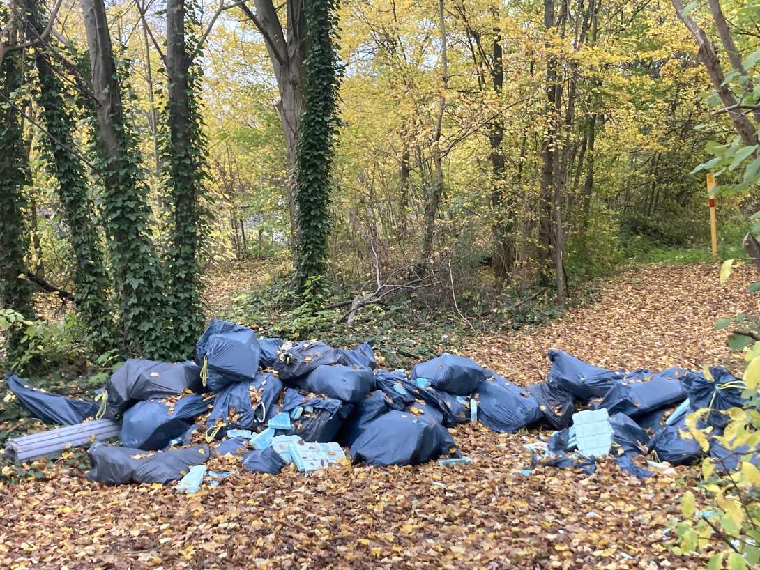 Bild zu gemeldetem Anliegen vom *2025-11-04 11:17:21