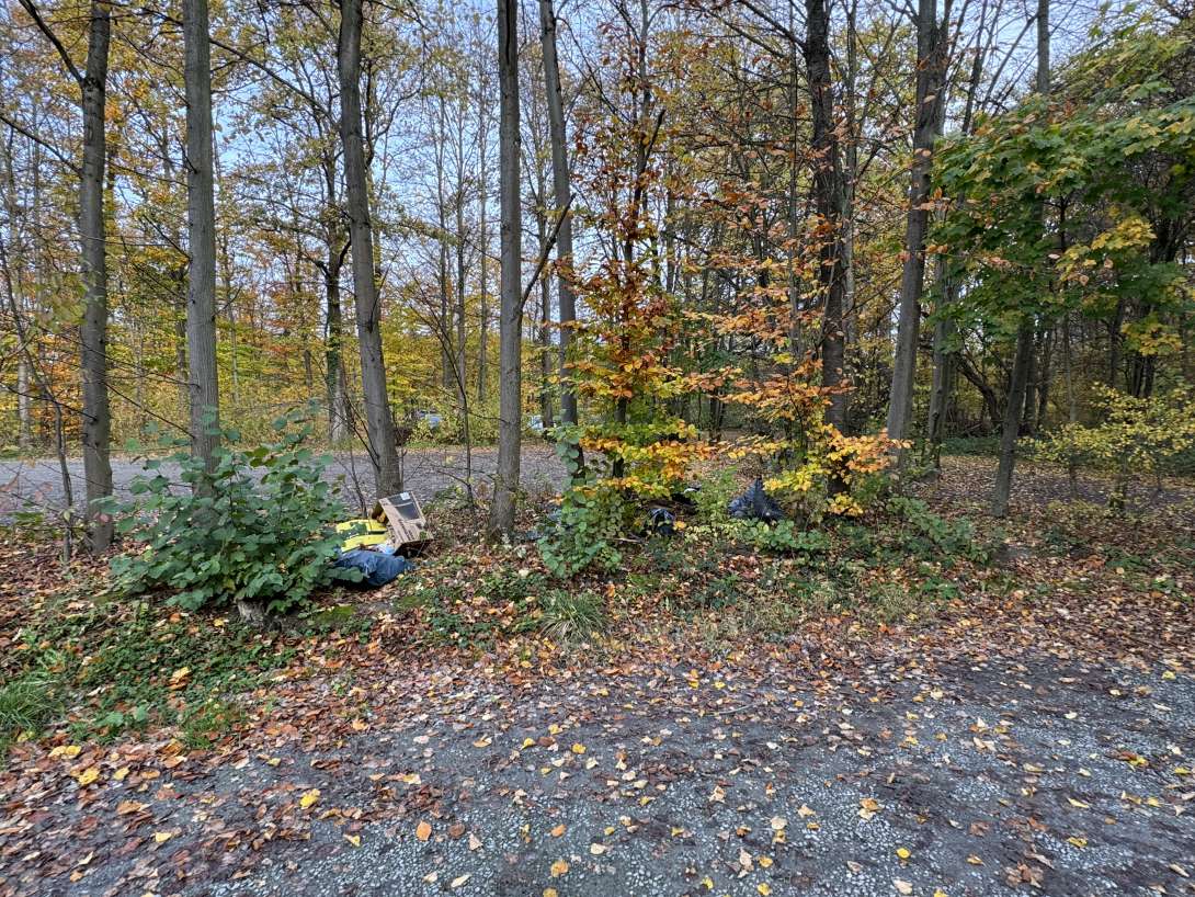 Bild zu gemeldetem Anliegen vom *2025-11-05 14:21:54