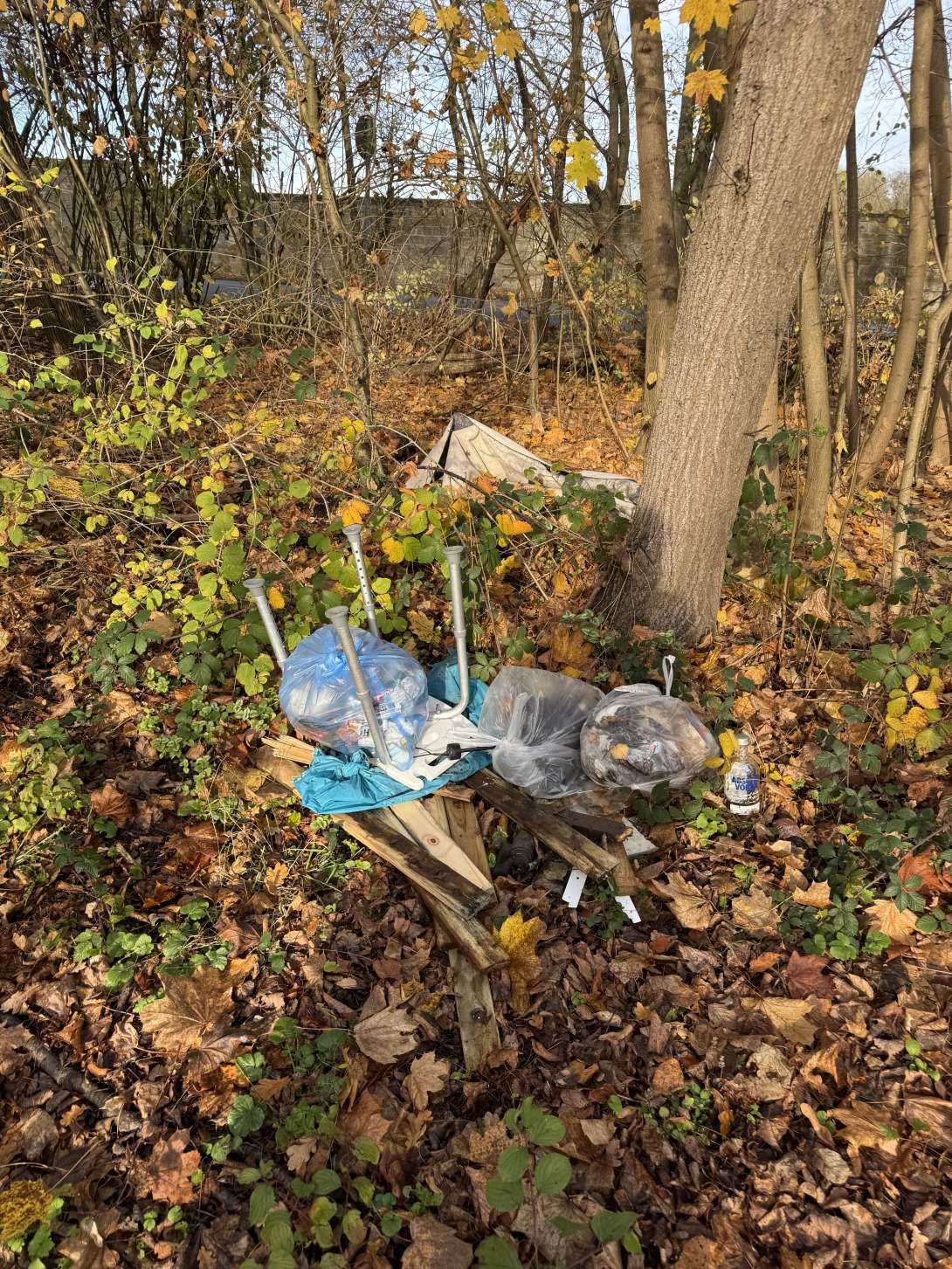 Bild zu gemeldetem Anliegen vom *2025-11-12 12:44:05