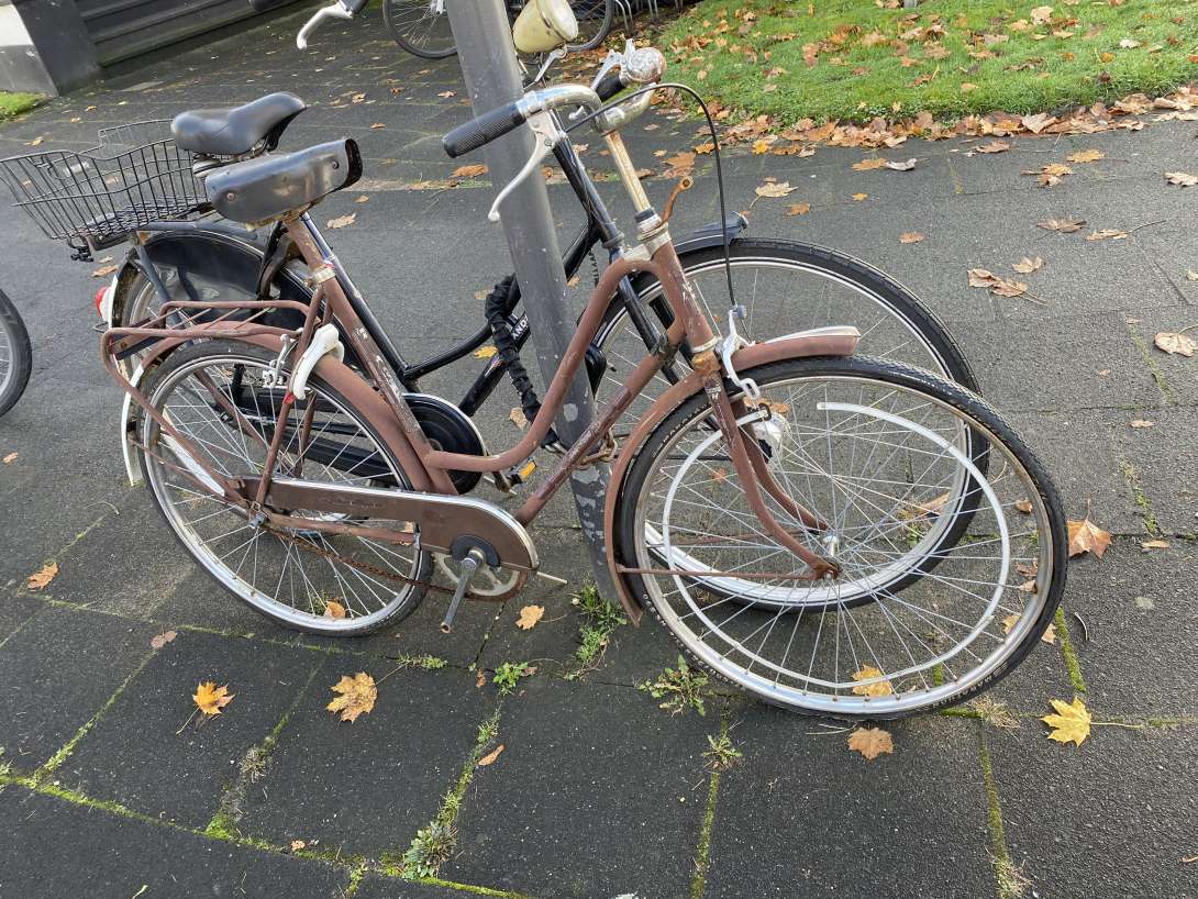 Bild zu gemeldetem Anliegen vom *2025-11-11 12:29:05