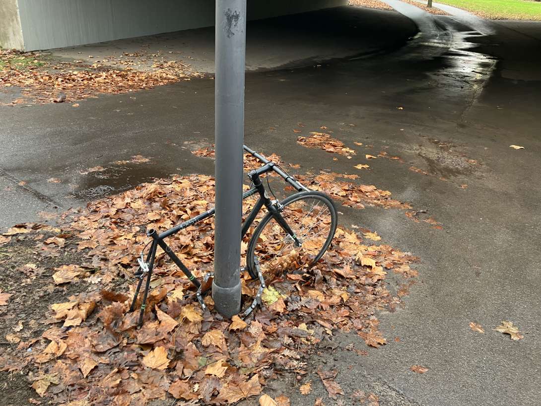 Bild zu gemeldetem Anliegen vom *2025-11-29 15:28:03