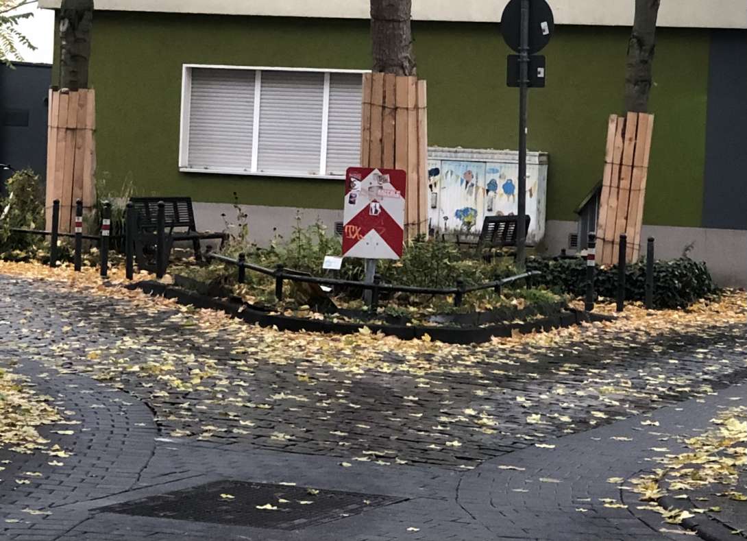 Bild zu gemeldetem Anliegen vom *2025-11-17 08:47:06