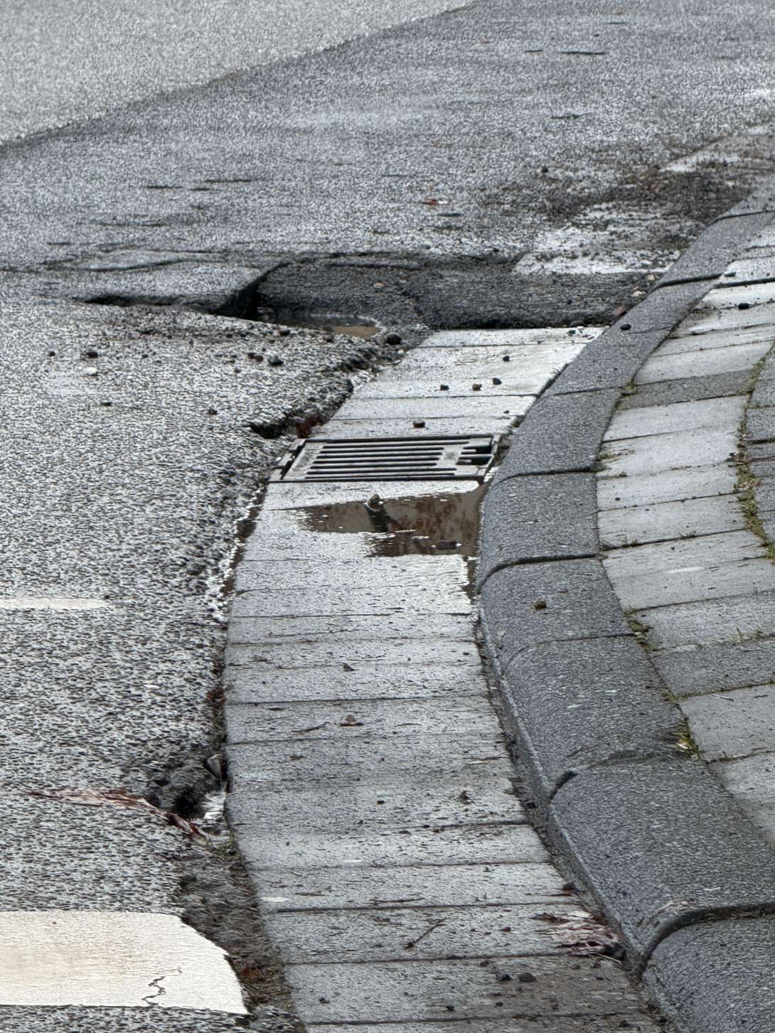 Bild zu gemeldetem Anliegen vom *2025-11-29 10:22:07