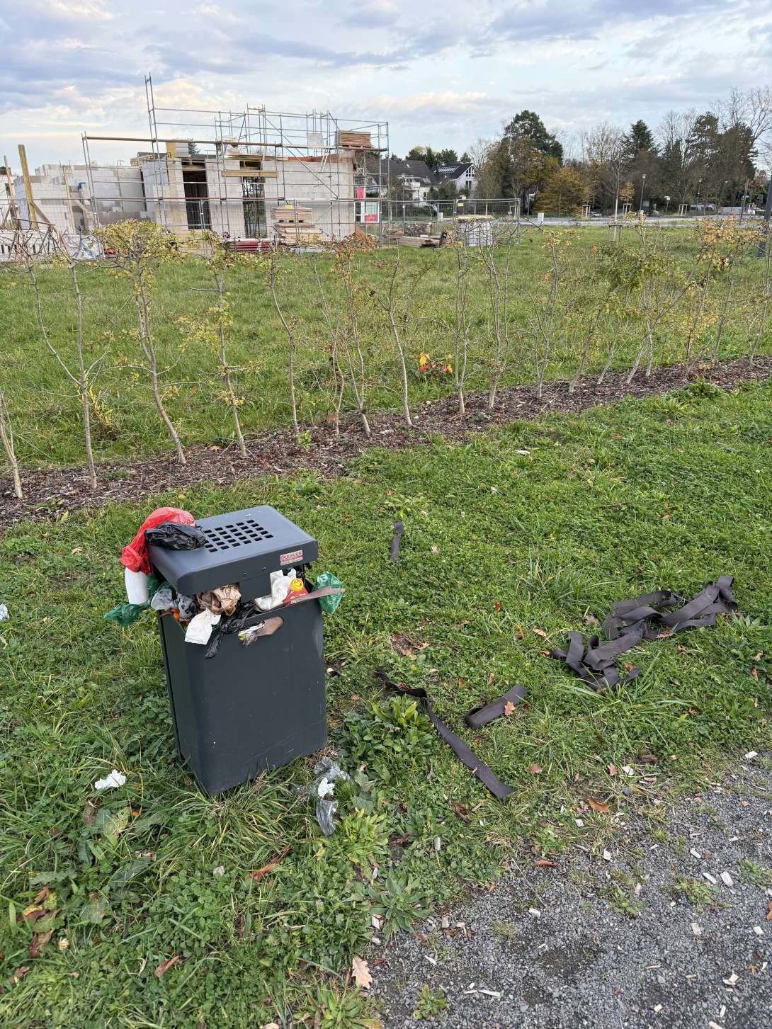 Bild zu gemeldetem Anliegen vom *2025-11-13 16:35:17