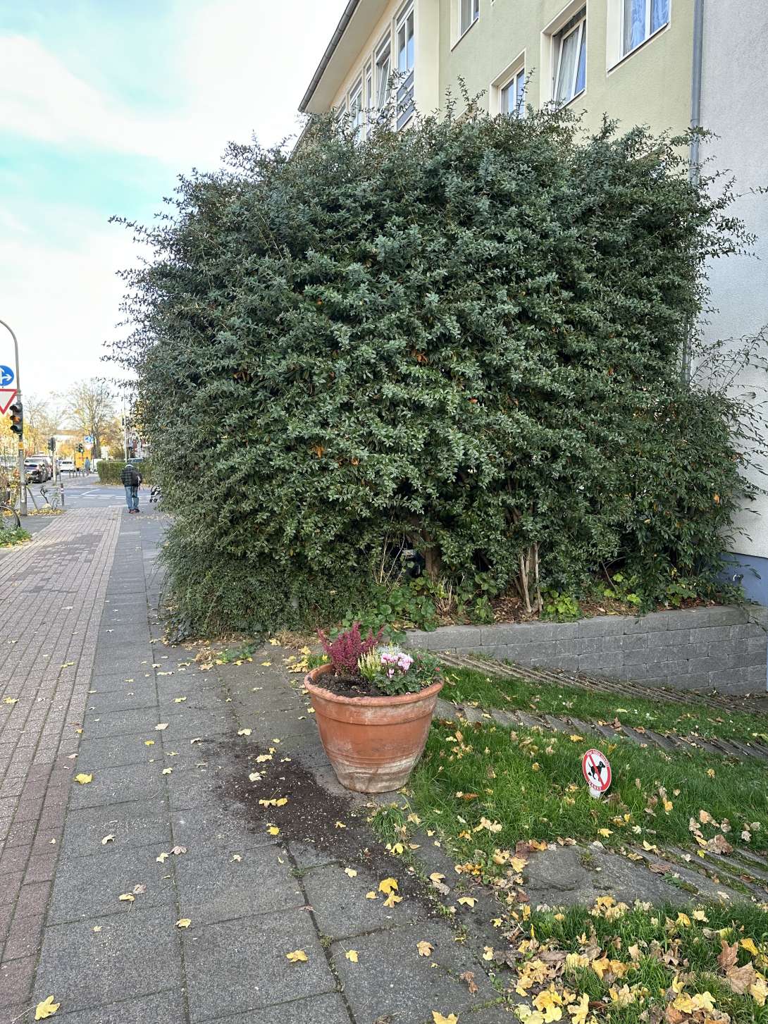 Bild zu gemeldetem Anliegen vom *2025-11-05 14:46:22