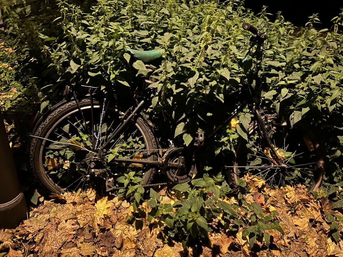 Bild zu gemeldetem Anliegen vom *2025-11-06 06:03:01