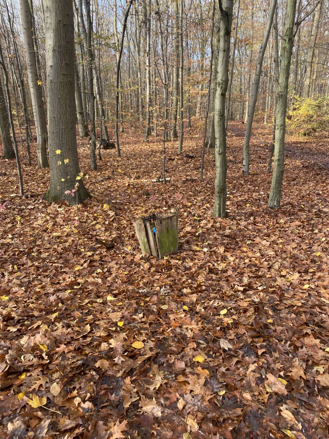 Bild zu gemeldetem Anliegen vom *2025-11-18 11:38:40