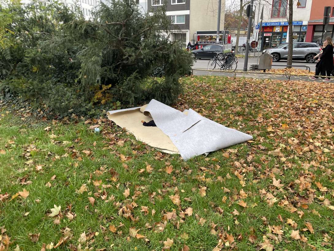 Bild zu gemeldetem Anliegen vom *2025-11-10 11:11:31