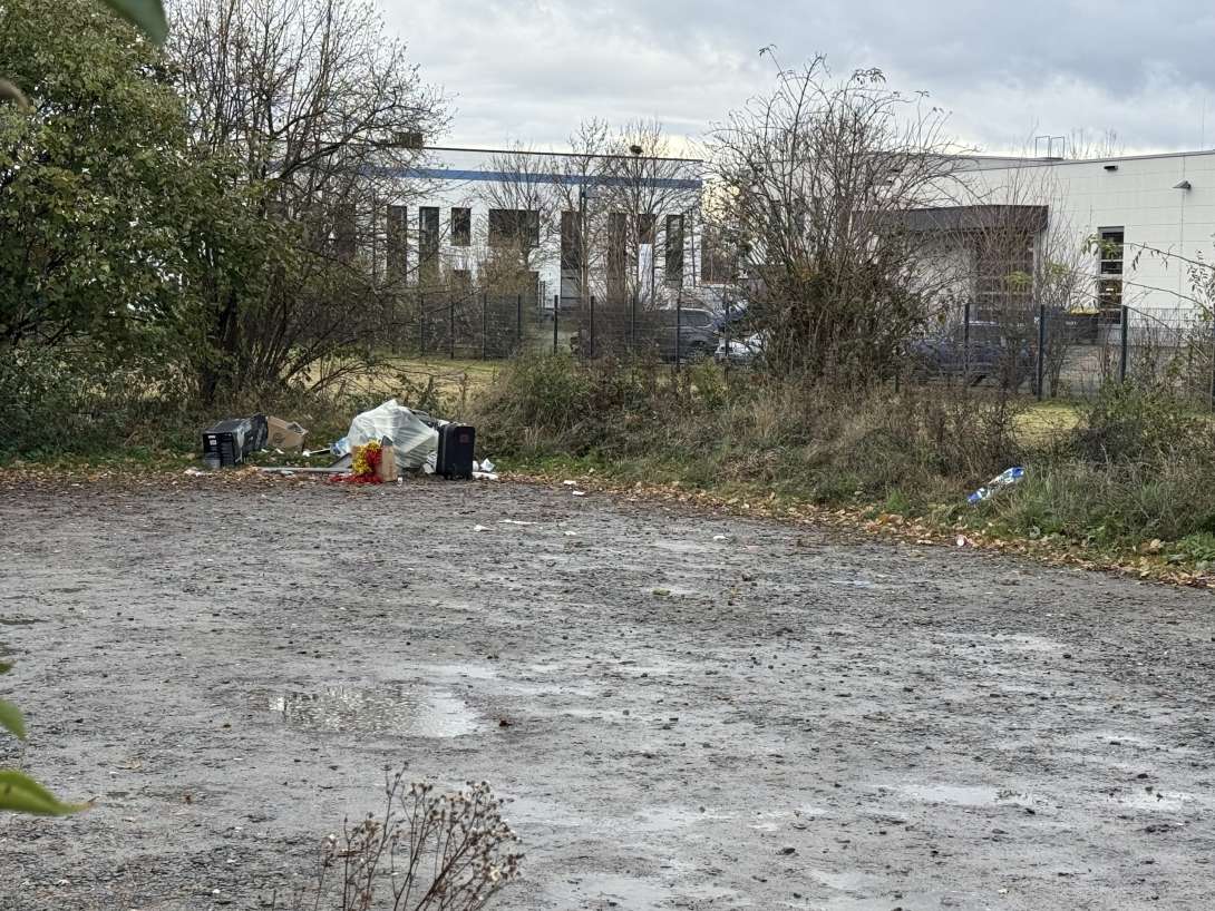 Bild zu gemeldetem Anliegen vom *2025-11-24 15:42:51