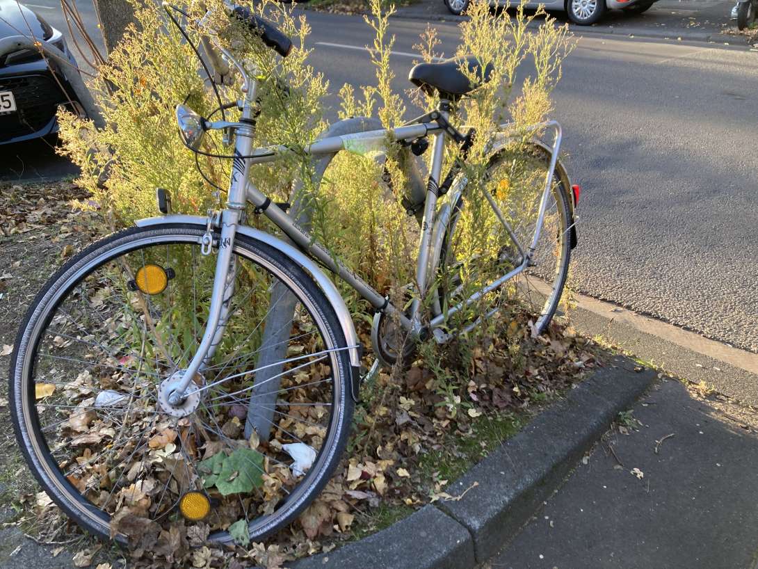 Bild zu gemeldetem Anliegen vom *2025-11-07 15:57:41